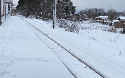 臨時休業のお知らせと